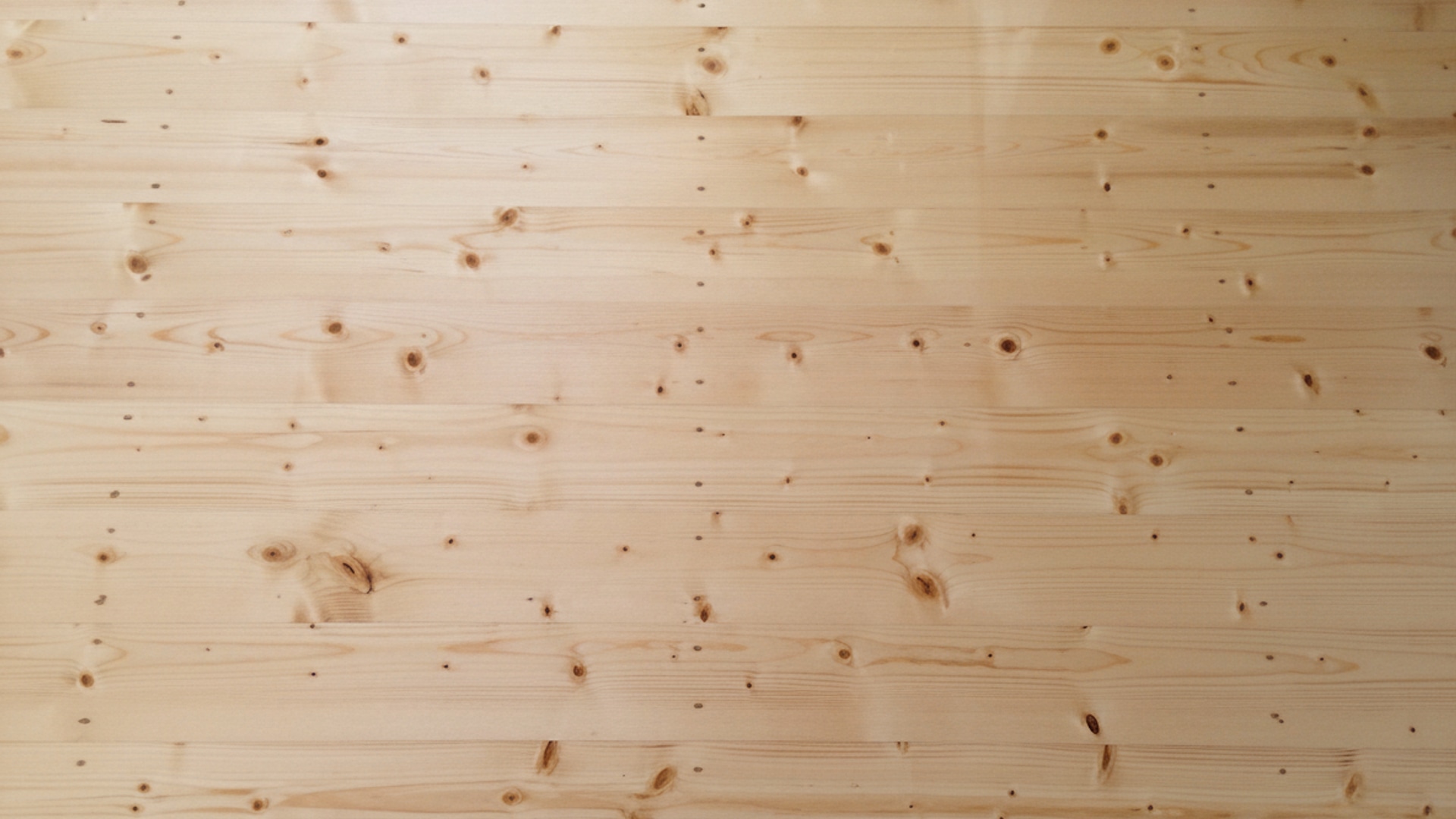 Floor Sanding & Polishing Solutions — floor sanding photo 4