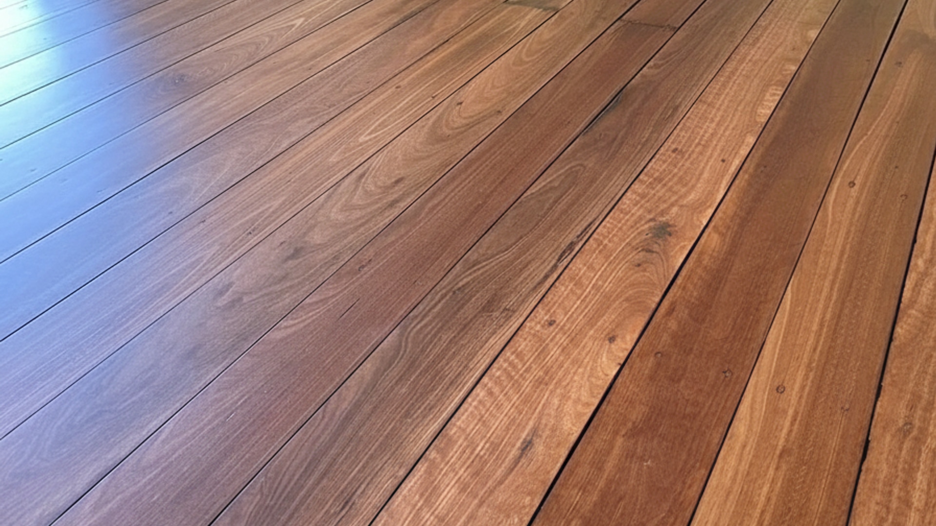 Sap & Grain — floor sanding photo 5