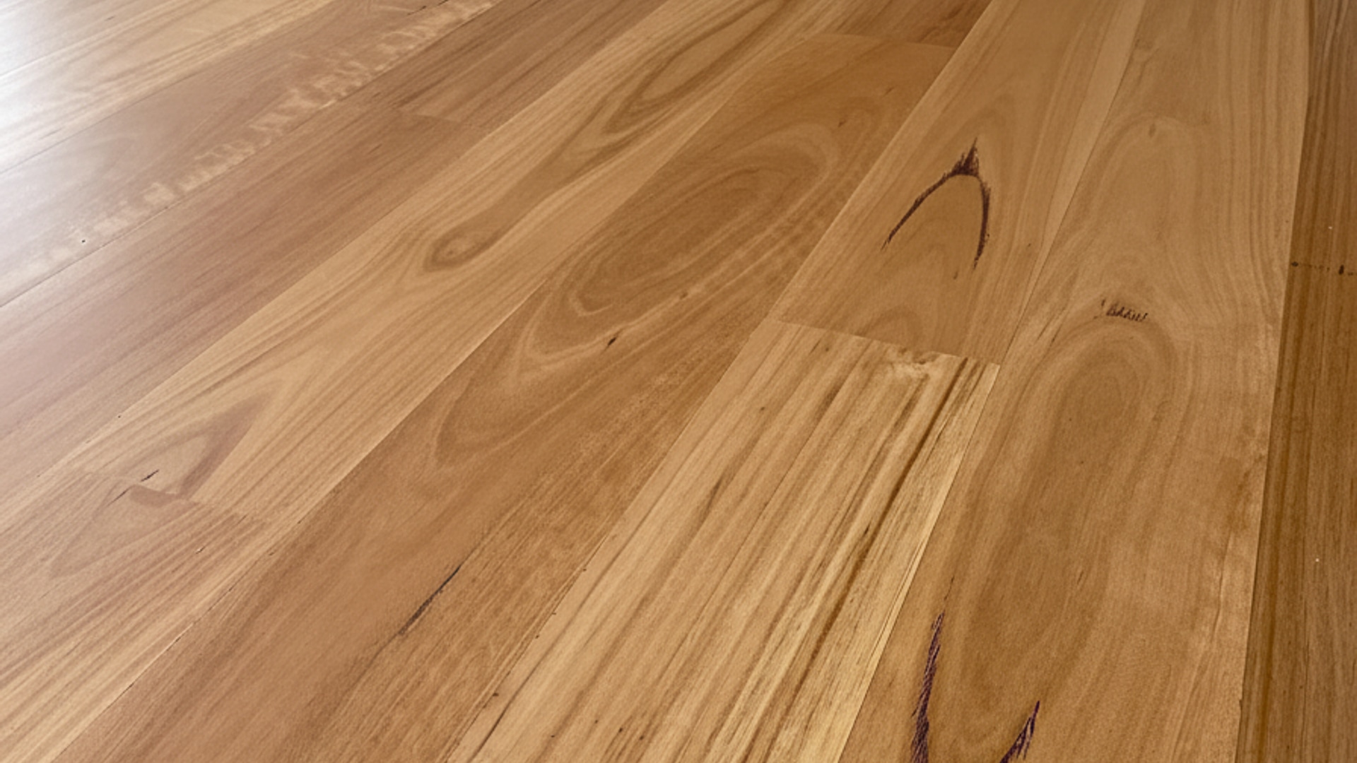 Select Timber Flooring — floor sanding photo 2